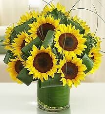 Sunsational Sunflowers Bouquet
